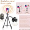 AIXPI 10 Inch Led Ring Light L210 with Tripod Stand Phone Holder 1
