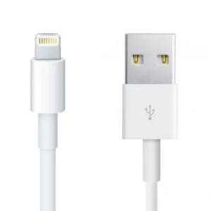 Lightning Type C Cable + Wall Adapter